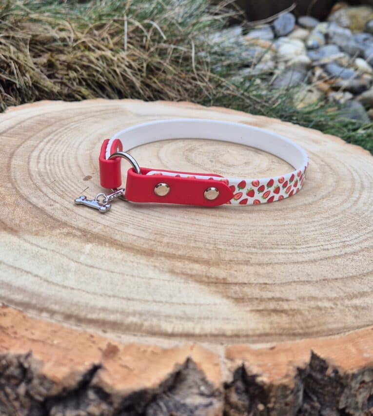 The Tag Collars, featuring a white and red strawberry pattern with a small bone-shaped charm, are displayed outdoors on a tree stump surrounded by grass and rocks.