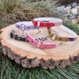 Five Tag Collars in vibrant patterns are shown on a wooden tree stump outdoors, surrounded by grass and stones.