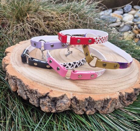 Tag Collar – Lightweight ID Collar