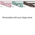 Five customisable printed dog collars in varied designs: cream, pink, green, brown, and black, each personalised with a dog's name across the band.