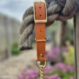 Adjustable martingale half-check collar in burnt orange BioThane with brass hardware and chain lead attachment.