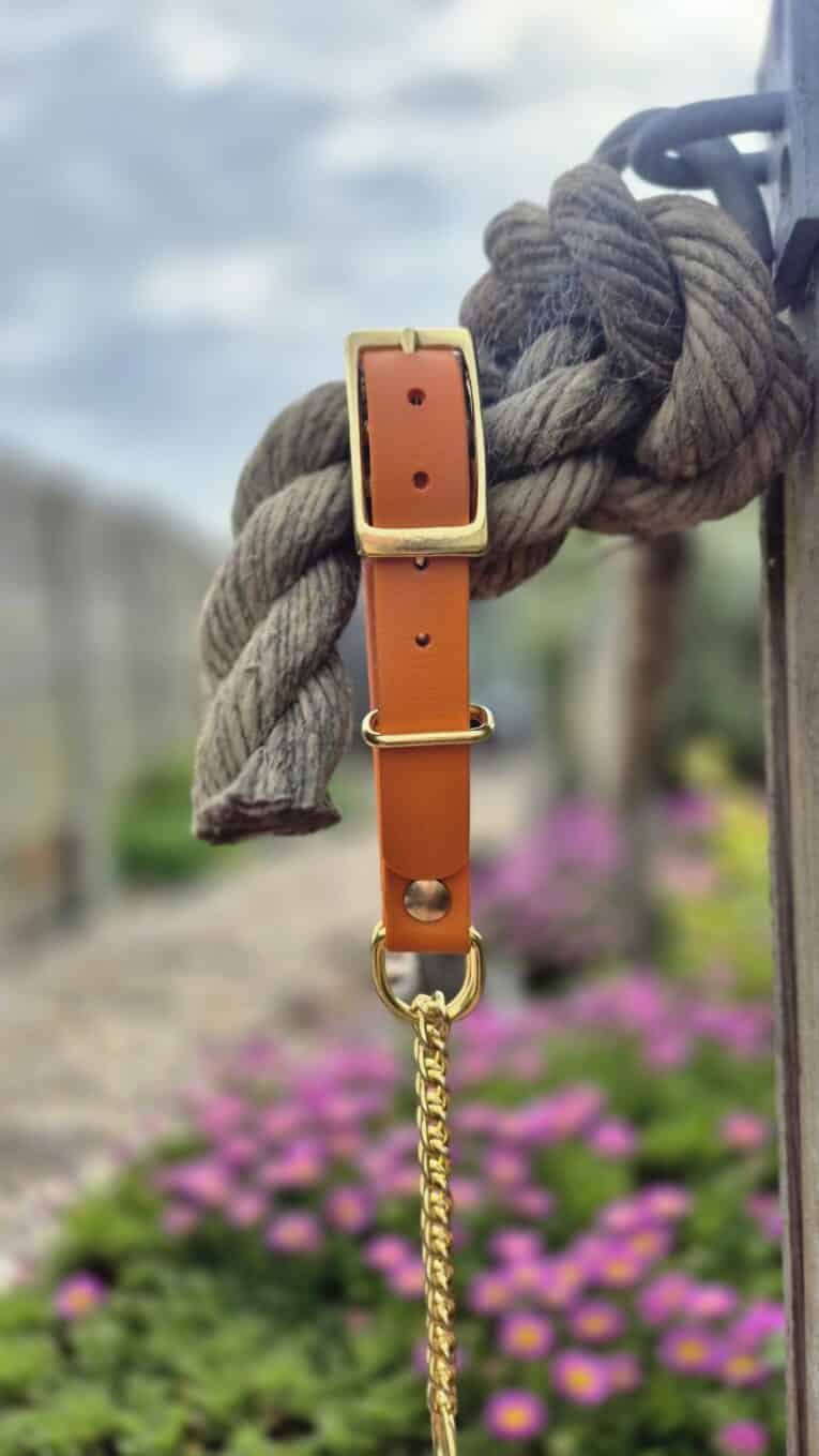 Adjustable martingale half-check collar in burnt orange BioThane with brass hardware and chain lead attachment.