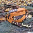 Amberwood and plum two-tone multi-way double-ended lead with antique brass fittings, coiled on weathered wood with autumn leaves.