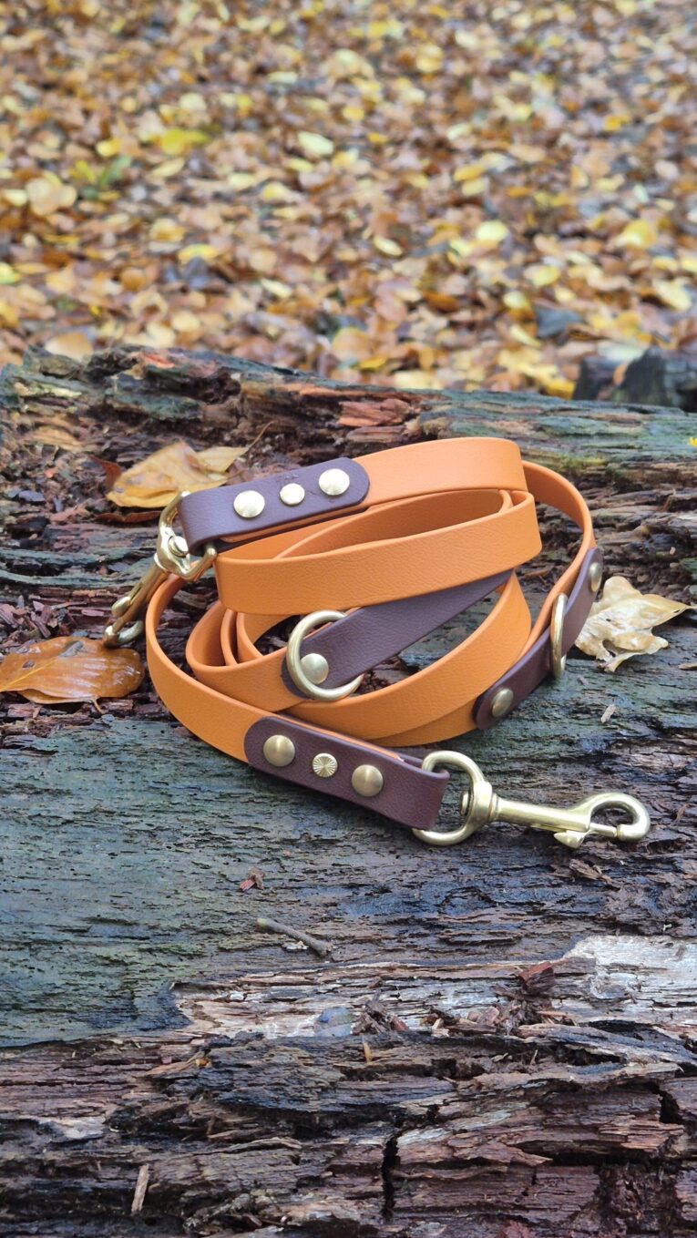 Amberwood and plum two-tone multi-way double-ended lead with antique brass fittings, coiled on weathered wood with autumn leaves.