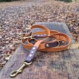 Amberwood and dark BioThane multi-way double-ended lead with antique brass fittings, coiled on wooden surface in tree-lined avenue.