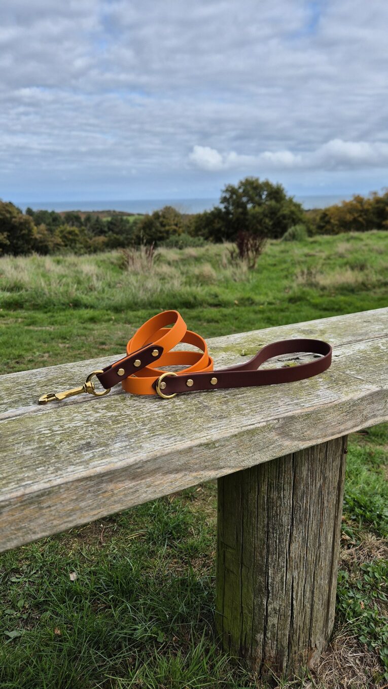 Amberwood and chocolate BioThane dog leads with brass fittings, displayed on weathered wood with countryside backdrop.