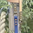 Aubreys x Lutchfords collaboration BioThane lead in navy blue with beige handle and antique brass fittings, displayed outdoors.