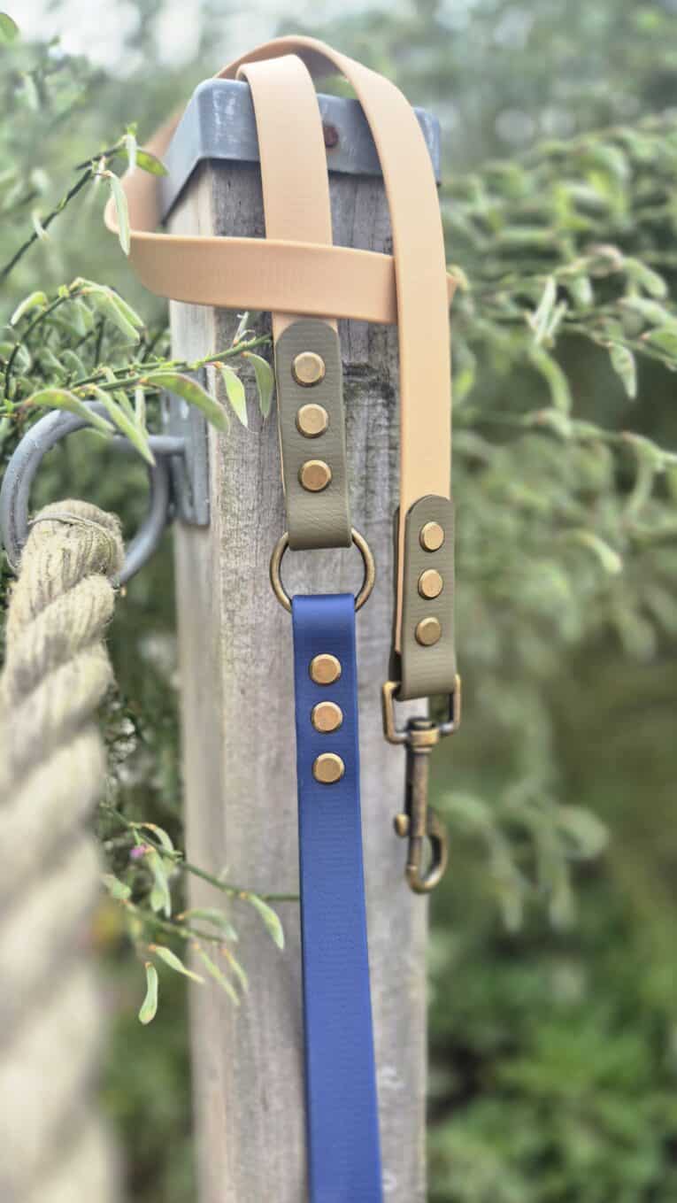Aubreys x Lutchfords collaboration BioThane lead in navy blue with beige handle and antique brass fittings, displayed outdoors.