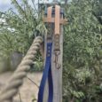 Aubreys x Lutchfords collaboration BioThane lead in navy blue with beige handle, displayed on wooden post surrounded by greenery.