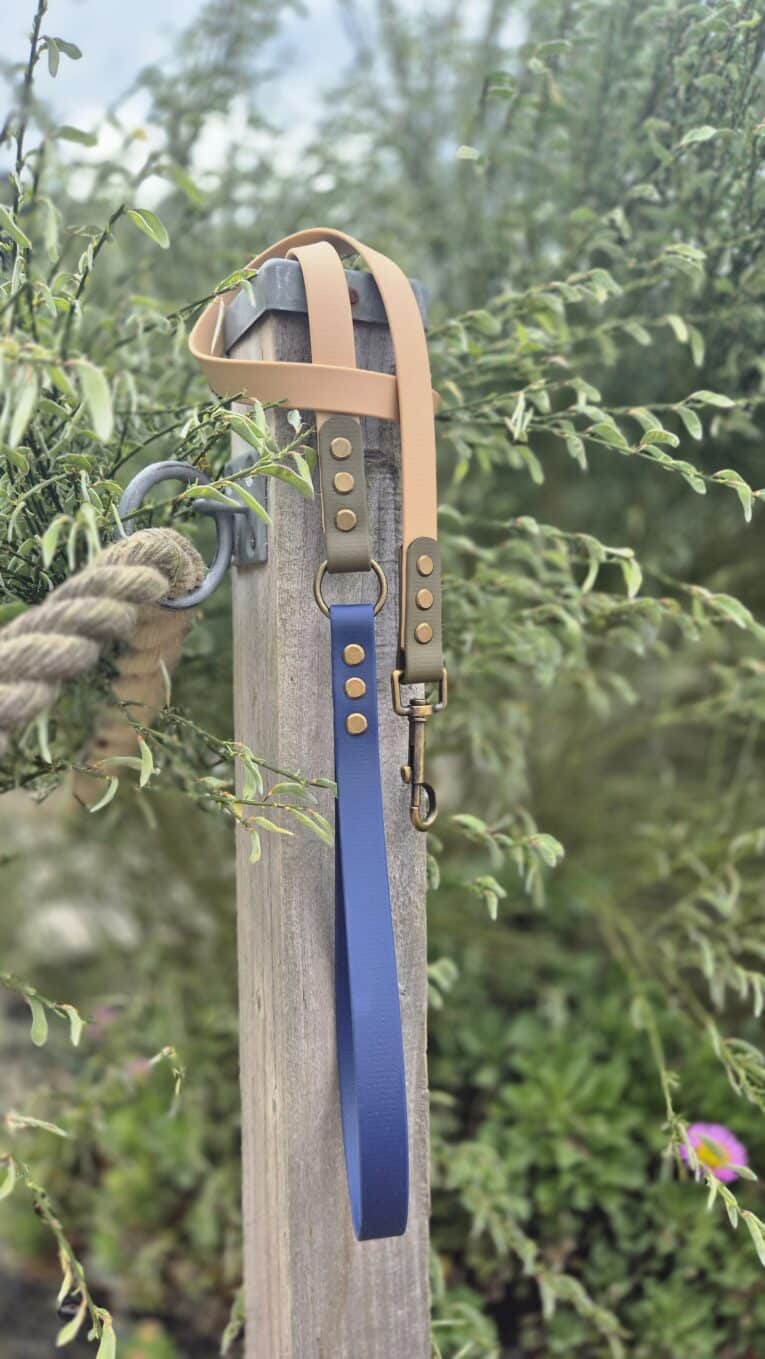 Navy BioThane lead with antique brass fittings and beige handle, displayed against garden foliage.