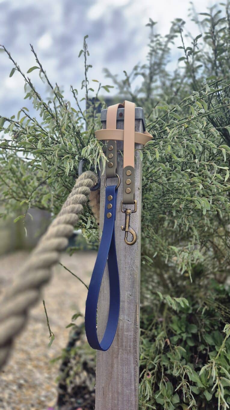 Aubreys x Lutchfords collaboration BioThane lead in navy blue with beige handle, displayed on wooden post surrounded by greenery.