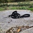 Black BioThane lead with nickel hardware coiled on weathered wood, countryside backdrop.