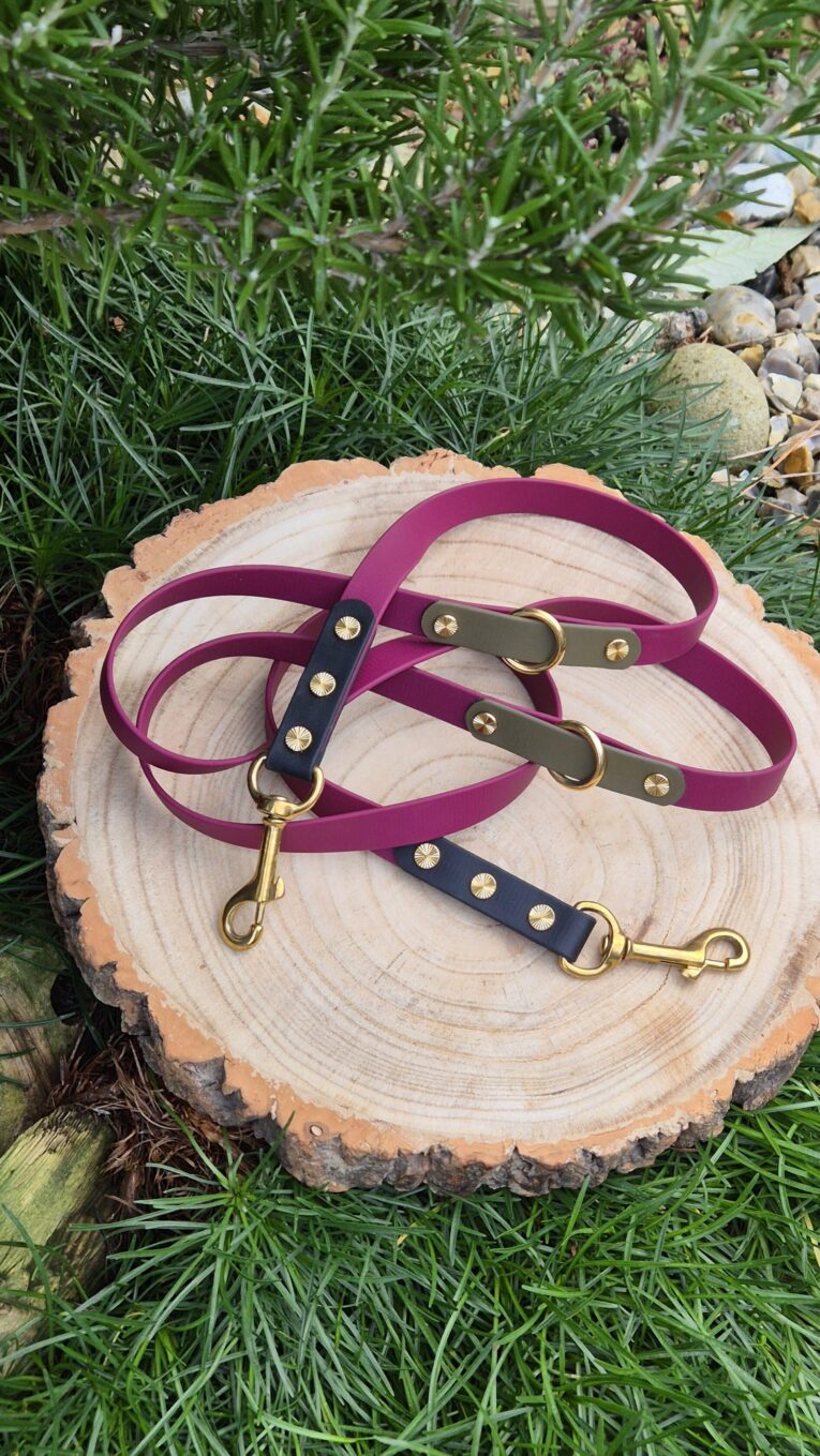 Handmade BioThane dog collars and multiway lead in berry and blackwood colours with gold hardware, displayed on wood.