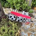 Printed double layer hound collar in cow print with hot pink BioThane, displayed among succulents in a garden setting.
