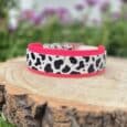 Printed double layer hound collar in cow print with neon pink BioThane trim, displayed on wooden log in garden setting.