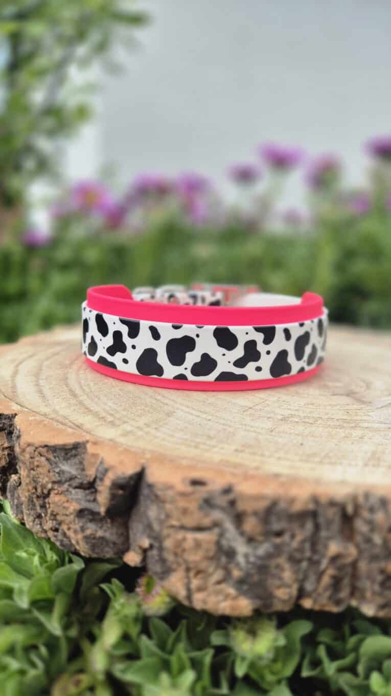 Printed double layer hound collar in cow print with neon pink BioThane trim, displayed on wooden log in garden setting.
