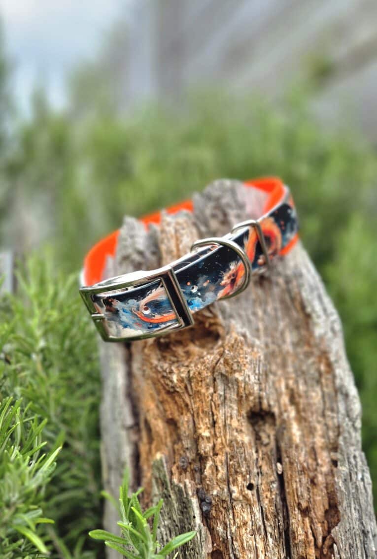 Printed double layer hound collar in vibrant orange and black dragon design displayed on weathered wood.