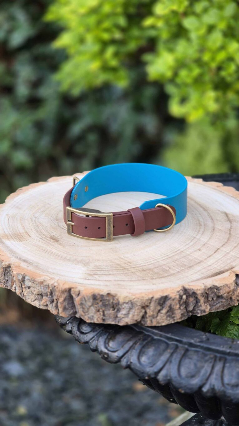 Bright blue tapered hound collar with antique brass buckle and D-ring, displayed on natural wood