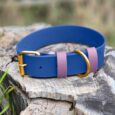 Blue extra wide custom collar with pink BioThane straps and antique brass buckle, displayed on weathered wood.