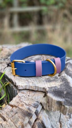 Blue extra wide custom collar with pink BioThane straps and antique brass buckle, displayed on weathered wood.