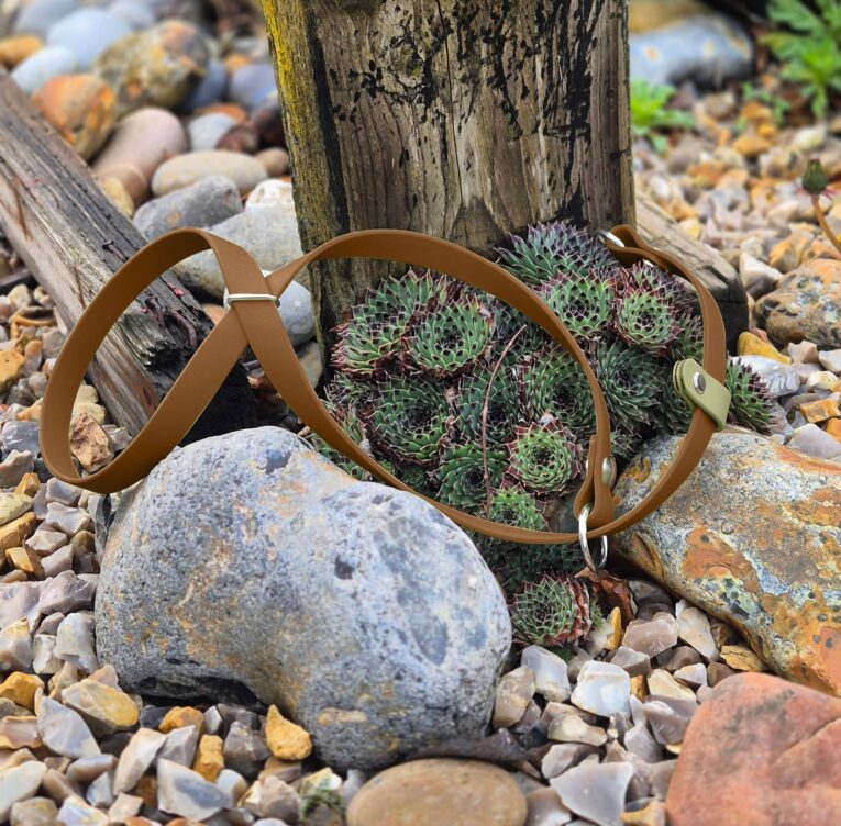 Light brown figure of eight head collar in BioThane, displayed on succulent plants amongst stones and weathered wood.