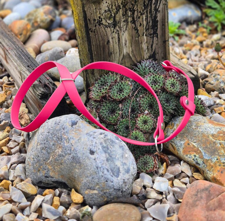 Neon pink figure of eight head collar displayed on succulents among pebbles and weathered wood.