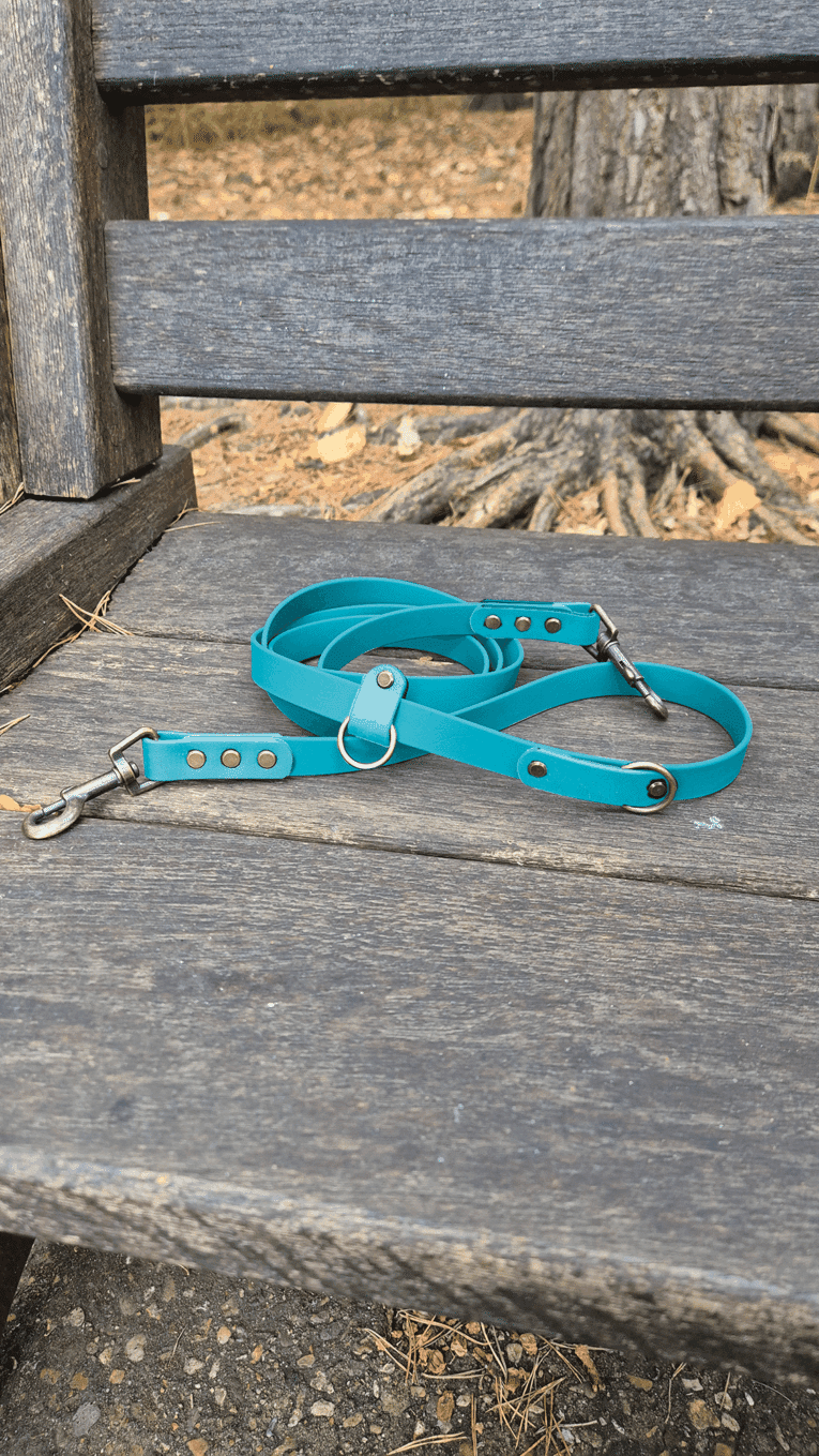 Turquoise BioThane multi-way double-ended lead with brass fittings, displayed on weathered wood fence.