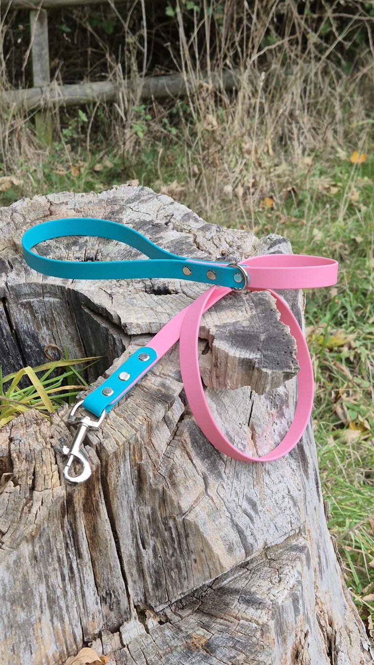 Pink and teal BioThane dog lead and collar set displayed on weathered wood outdoors.
