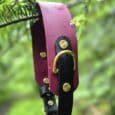Custom tapered hound collar in burgundy and black BioThane with brass hardware detail, hung on garden foliage.