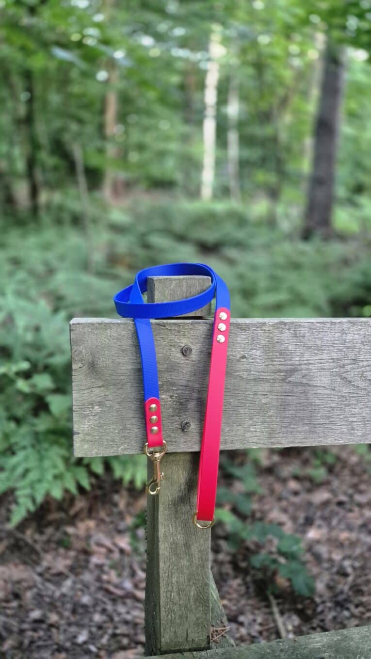 Custom two colour 1.2m BioThane lead in blue and pink with brass hardware, displayed on wooden fence in woodland setting.