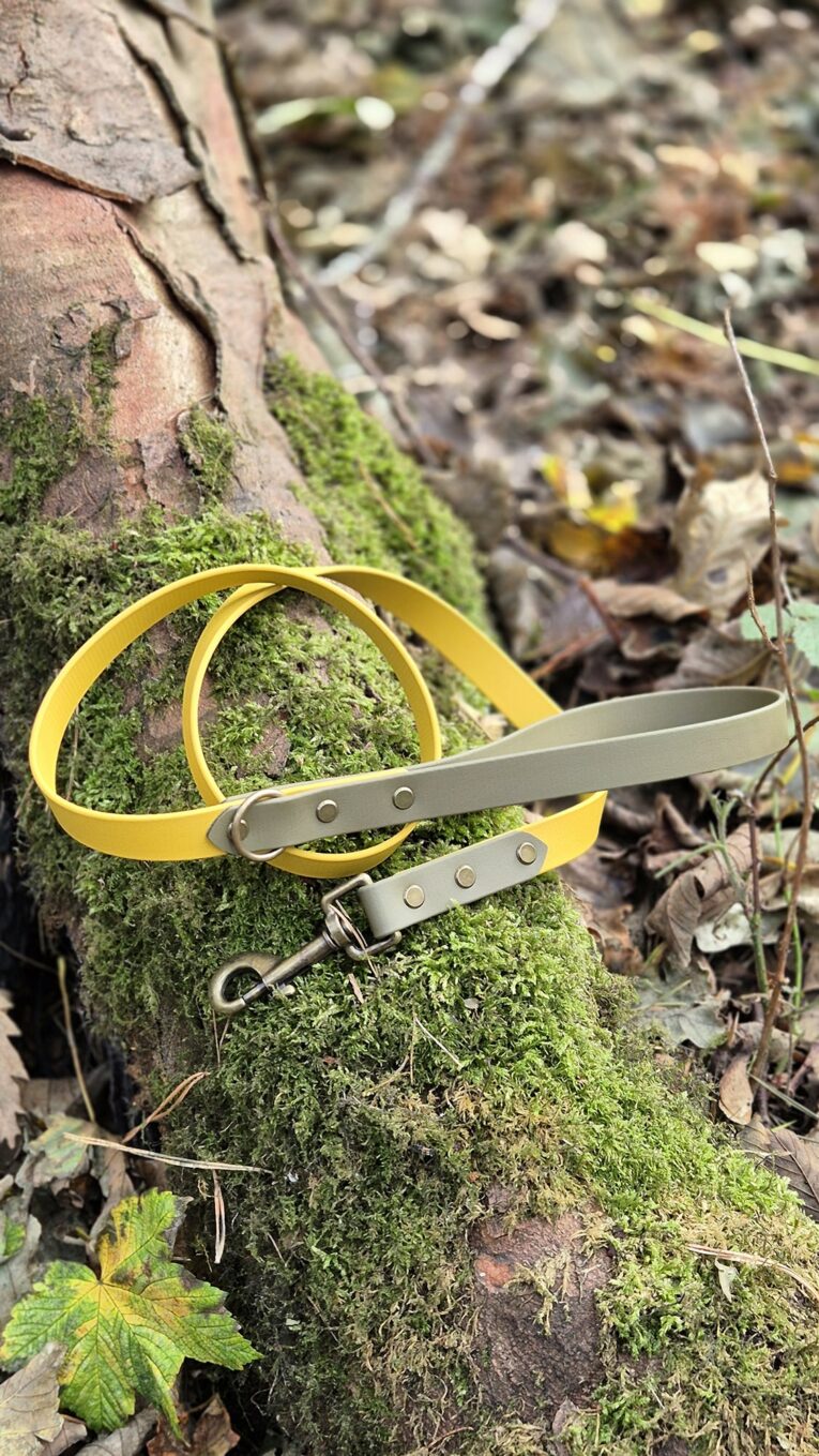 Saffron yellow and grey BioThane dog lead with brass hardware displayed on moss-covered log.