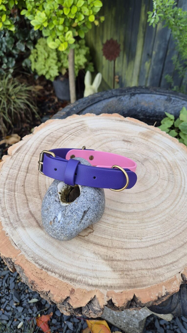 Sweet violet BioThane dog collar with brass fittings, displayed on a wood slice in a garden setting.