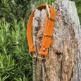 Bright orange waterproof martingale half-check collar with brass hardware and chain lead, displayed on weathered wood.