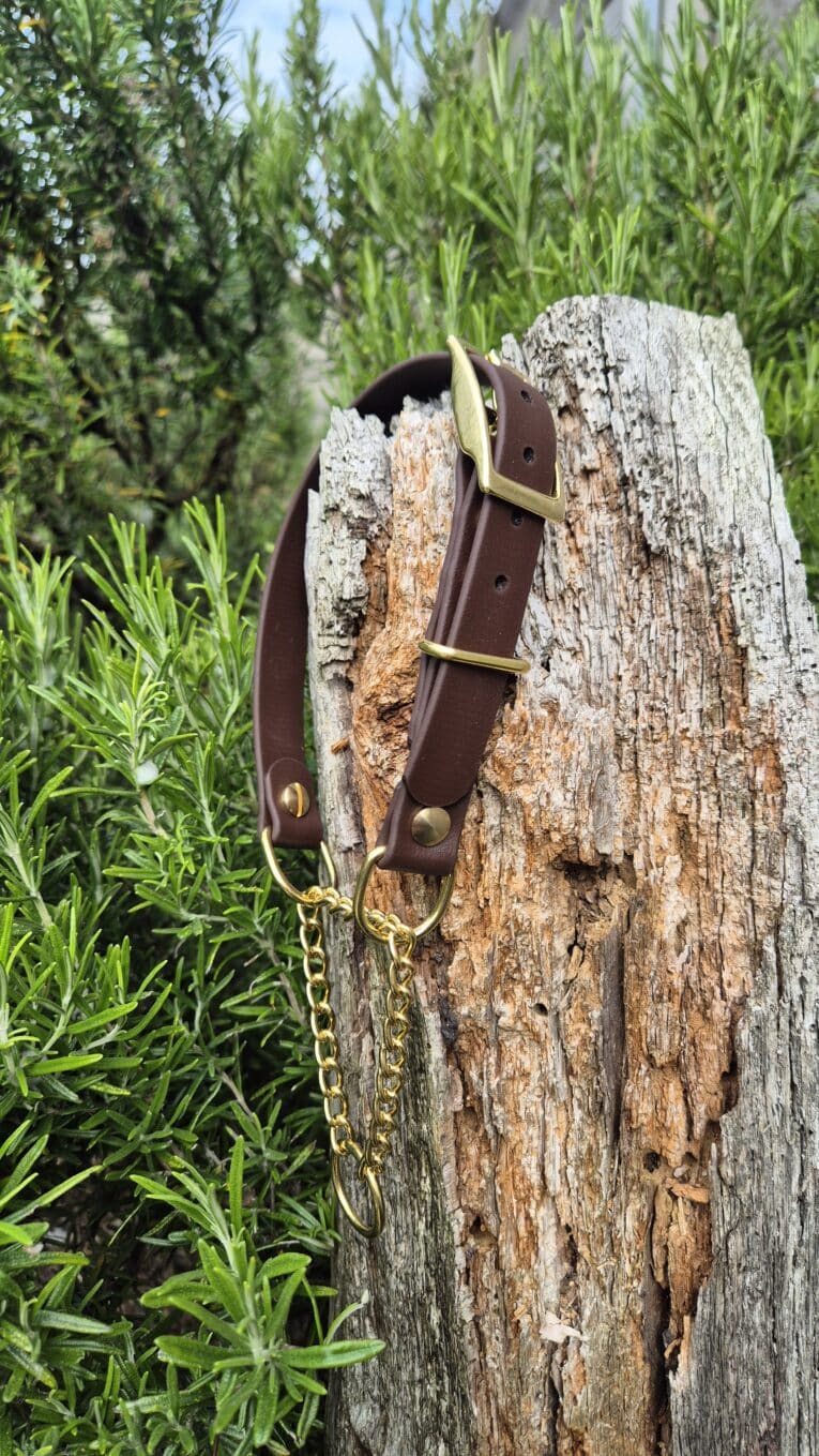 Brown BioThane adjustable martingale half-check collar with brass hardware and chain attachment, displayed on weathered wood post.