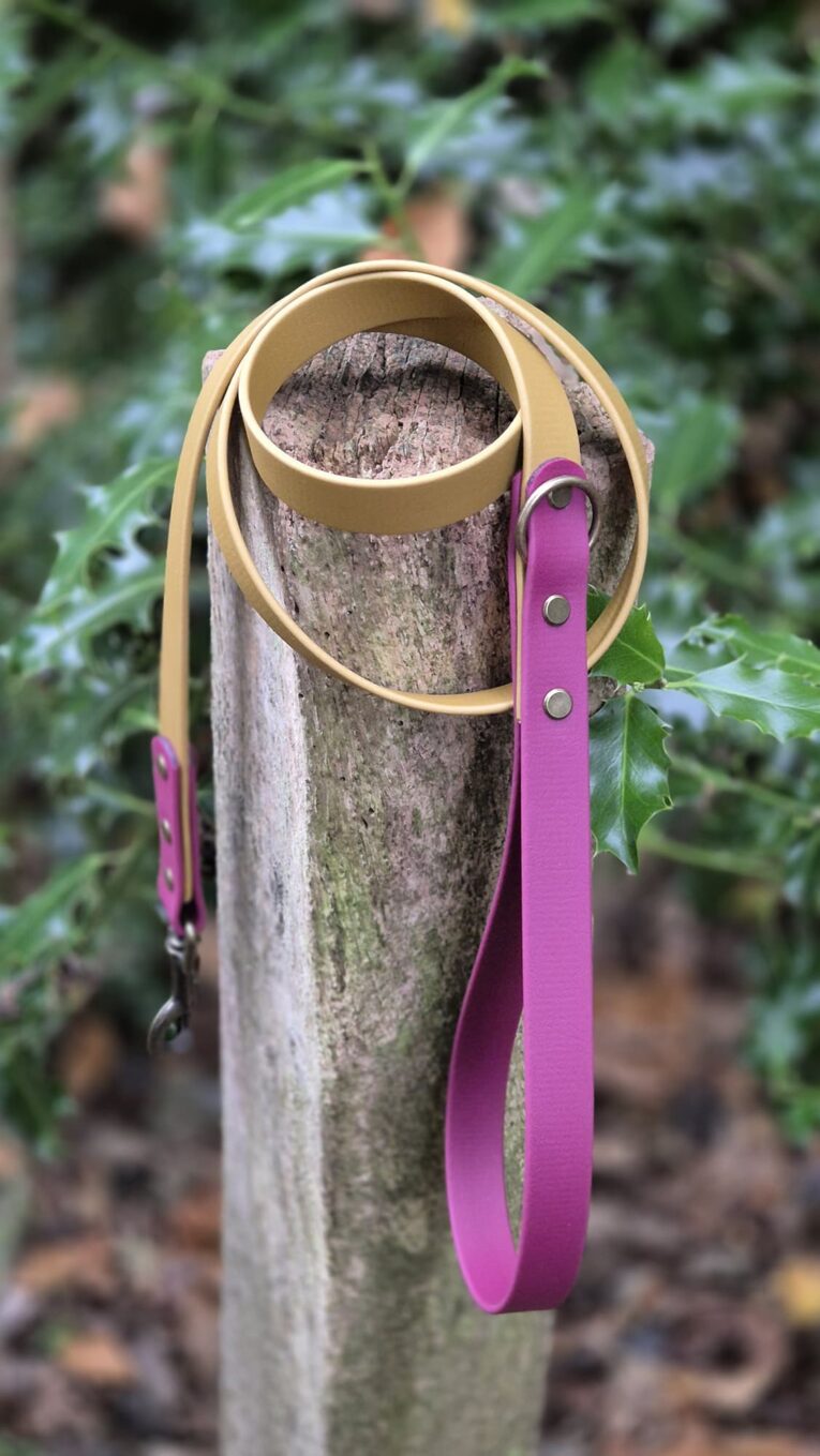 Winterberry gold BioThane dog collar with purple leather handle and brass hardware on garden post.
