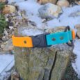 Bright turquoise and orange quick-snap bungee collar strap with lockable buckle, displayed on weathered wood.