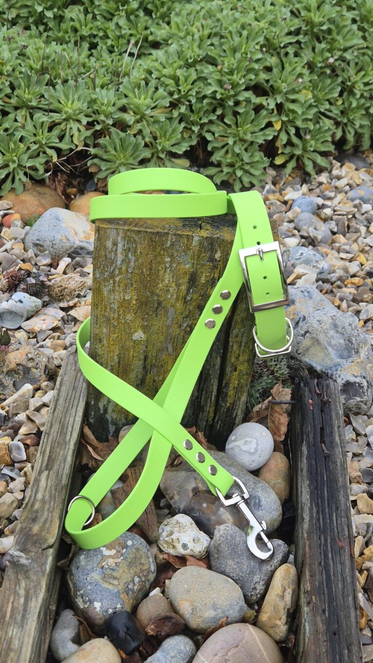 Bright lime green BioThane lead with nickel hardware and buckle, draped over weathered wood in natural setting.