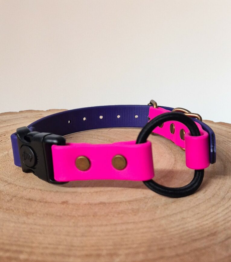 Neon pink and navy quick-snap bungee collar strap with antique brass hardware and black buckle.