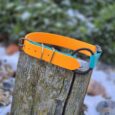 Bright orange and turquoise quick-snap bungee collar with lockable buckle displayed on weathered wooden post.