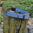 Blue and taupe BioThane quick-snap collar strap with brass hardware, displayed on weathered wood.