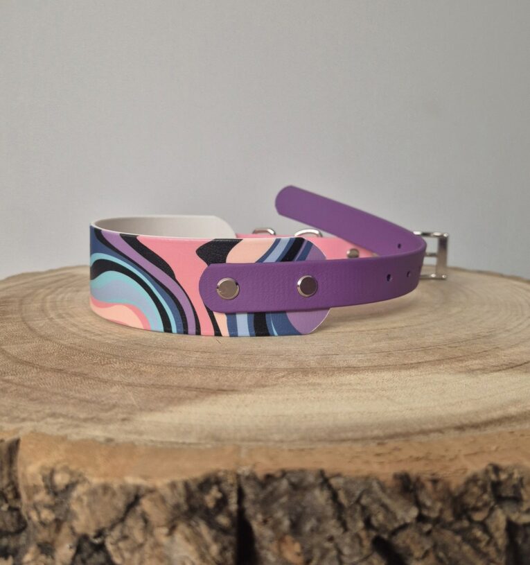 Multicoloured printed tapered BioThane dog collar with purple straps and metal hardware on wooden surface.