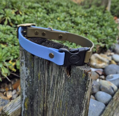 Bright blue BioThane quick-snap customisable dog collar with black hardware displayed on weathered wood outdoors.