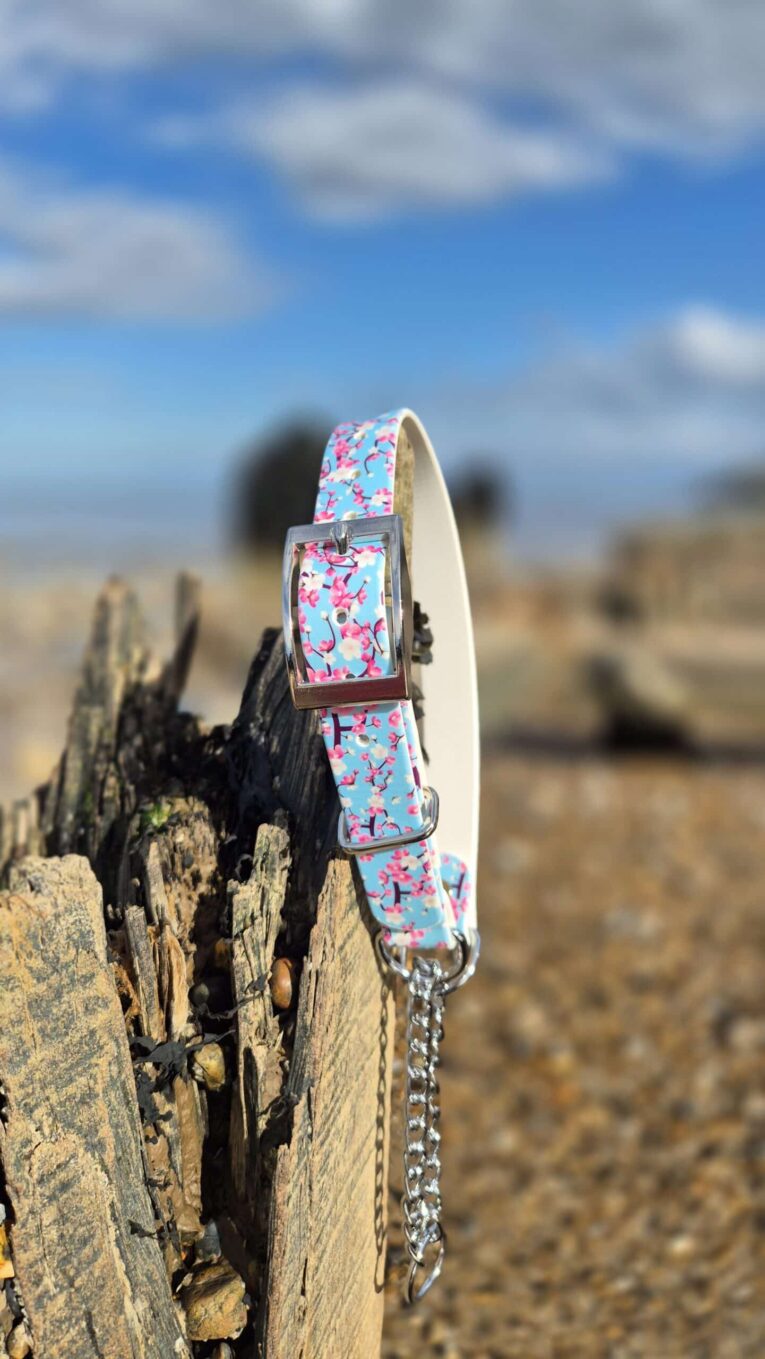Blue floral printed adjustable martingale half-check collar with stainless steel hardware, displayed on weathered wood outdoors.