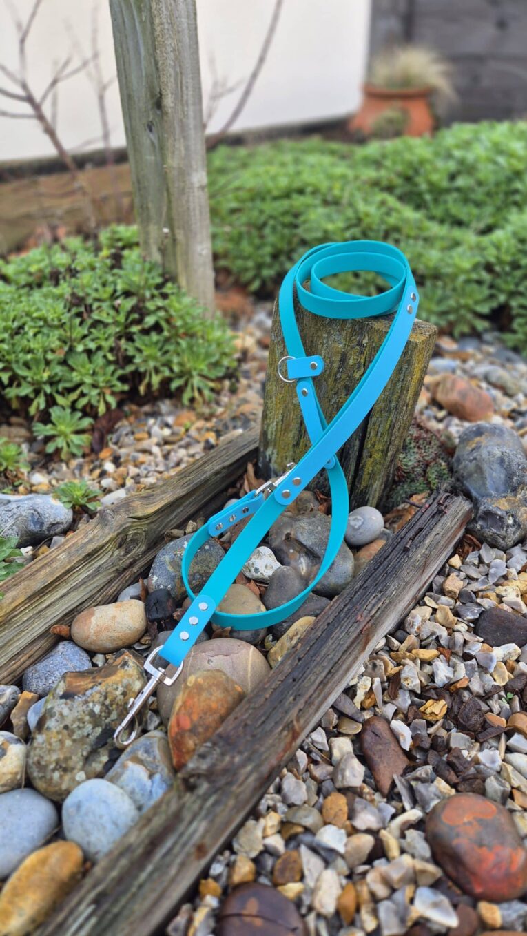 Bright blue BioThane hands-free lead wrapped around wooden post in garden setting, demonstrating versatile multi-way double-ended configuration.