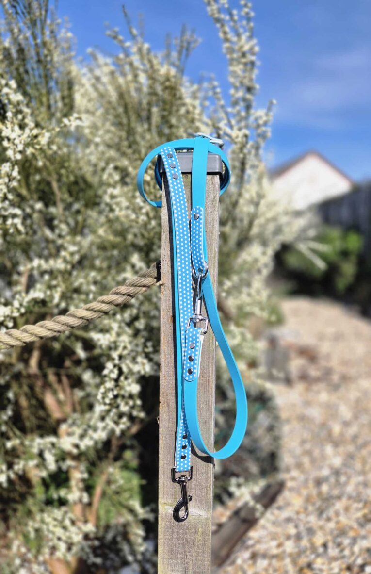 Bright blue polka dot double-ended training lead with metal clasps, displayed on wooden post against blooming garden.