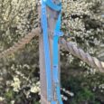 Blue polka dot printed accent double-ended lead with brass hardware and adjustable traffic handle, displayed on wooden post.