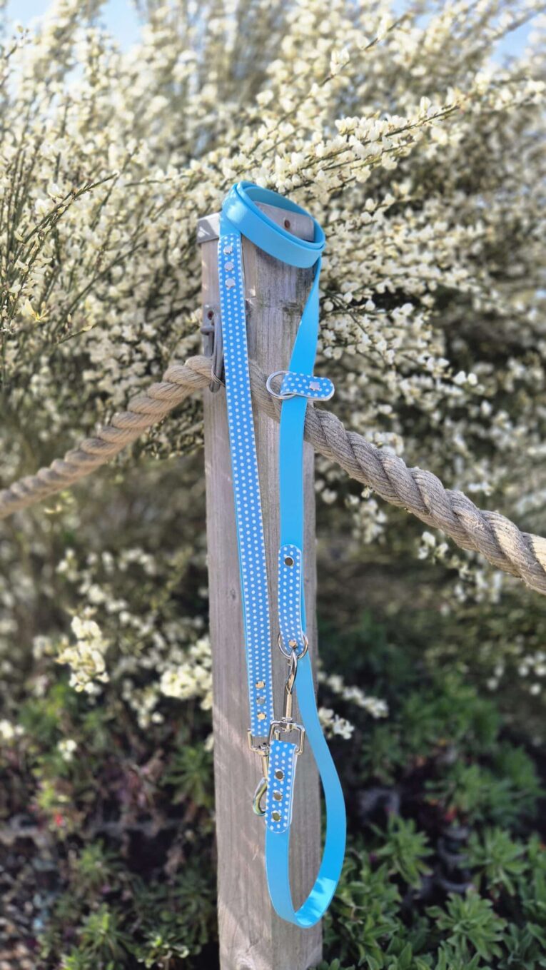 Blue polka dot printed accent double-ended lead with brass hardware and adjustable traffic handle, displayed on wooden post.