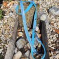 Blue polka dot double-ended training lead with brass clasps draped over weathered wood on shingle beach.
