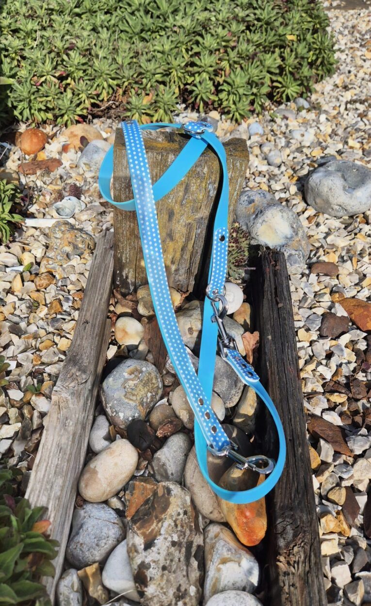 Blue polka dot double-ended training lead with brass clasps draped over weathered wood on shingle beach.