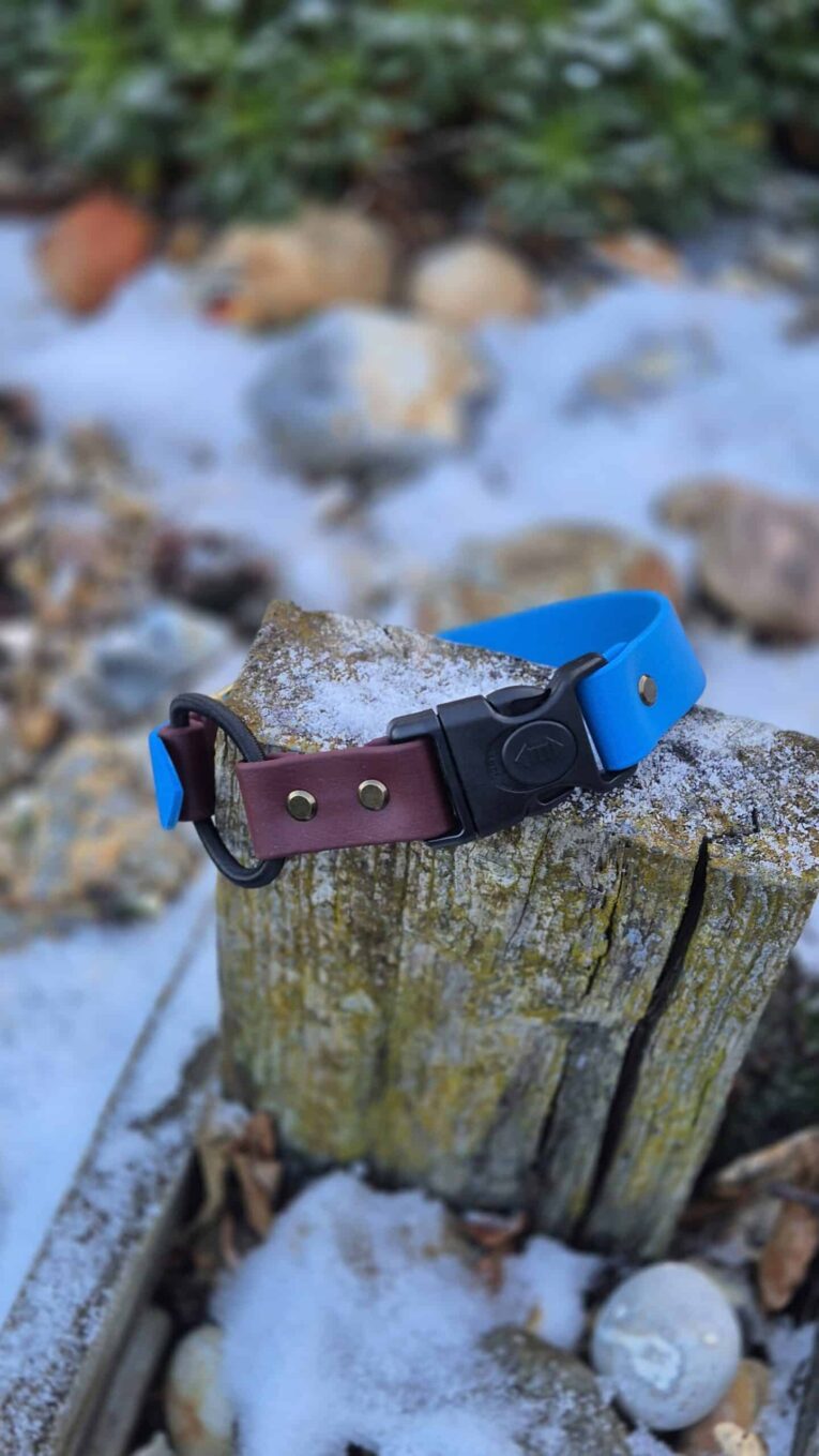 Quick-snap bungee e-collar strap in blue and burgundy BioThane with lockable buckle, displayed on weathered wood.
